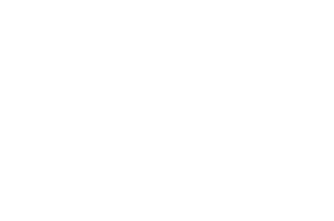 Orginal Logo 2