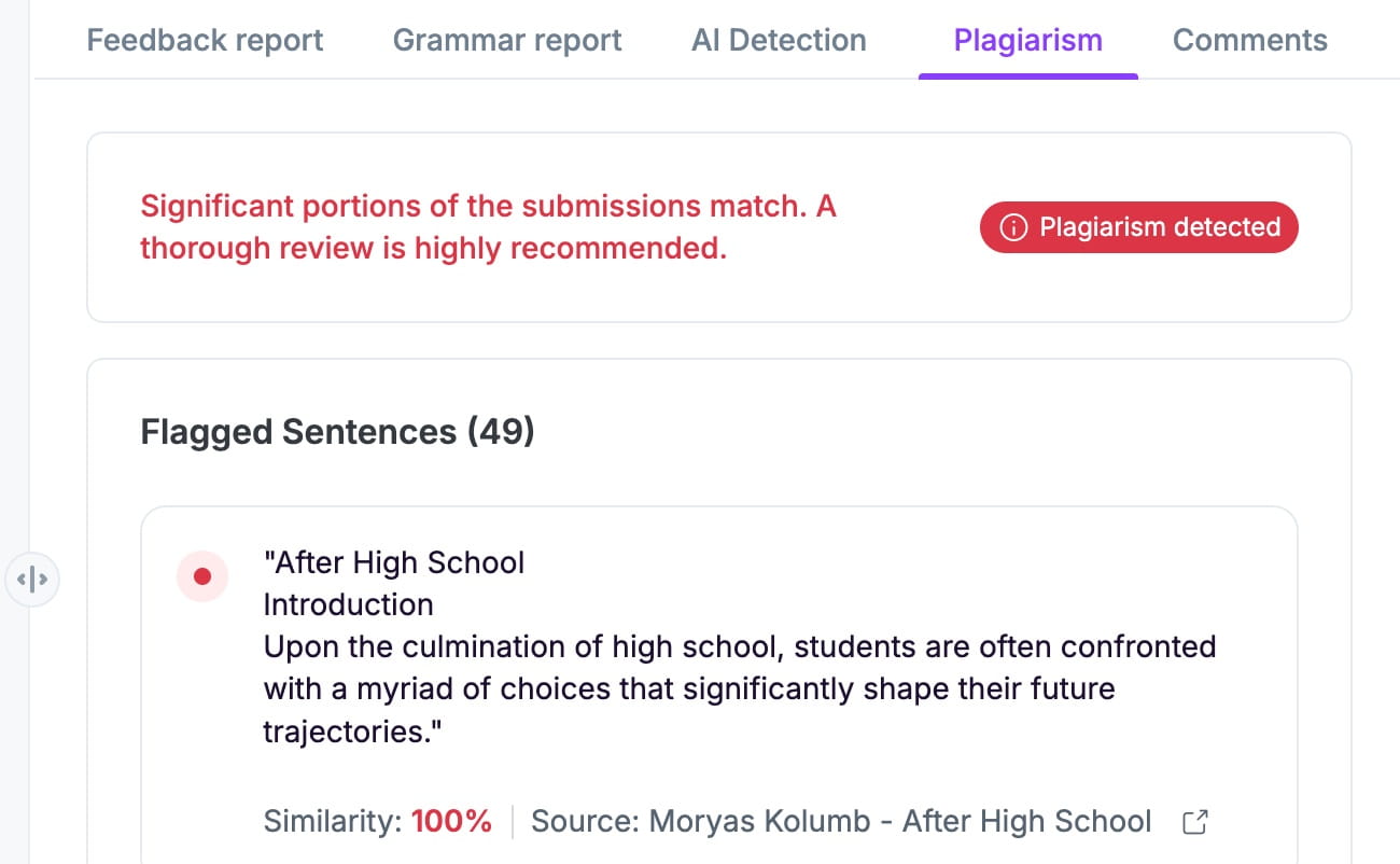 EssayGrader AI plagiarism detection feature flagging content copied between students for academic integrity