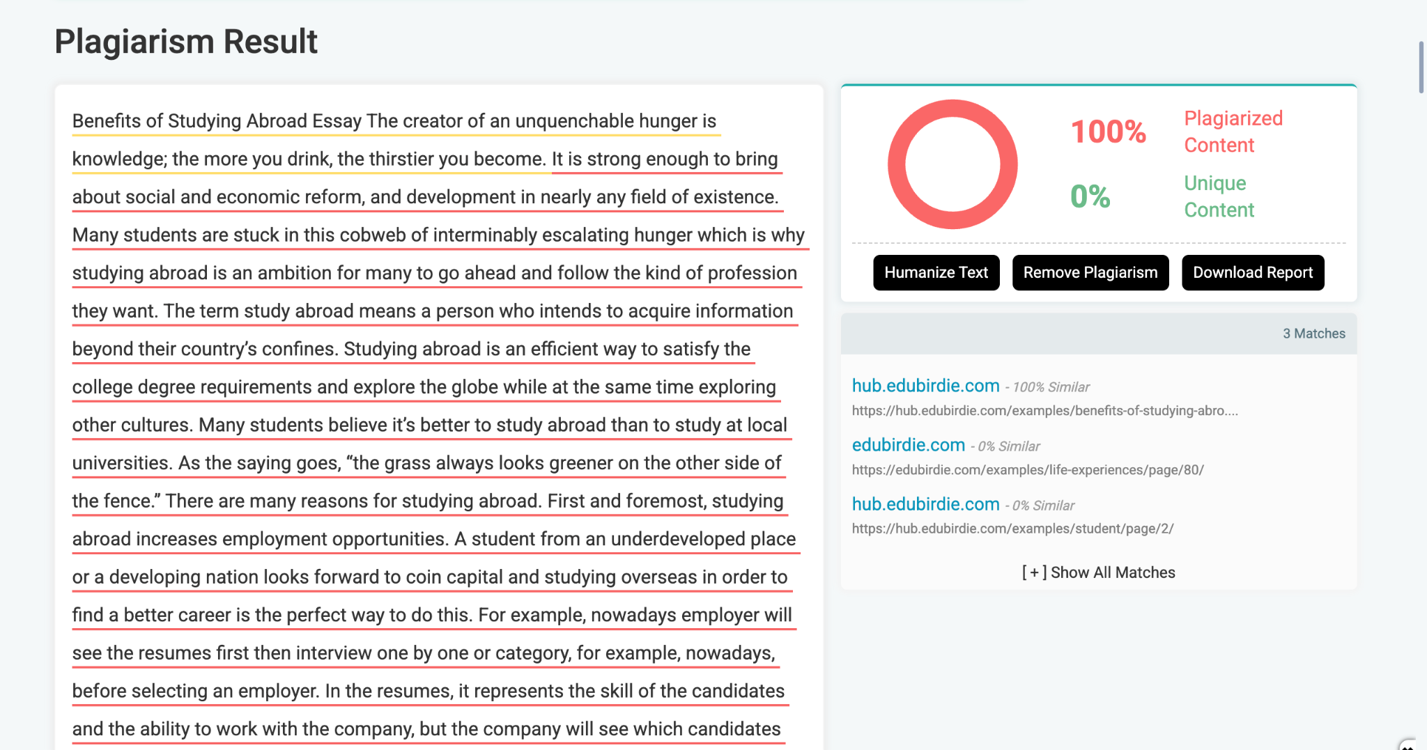 Prepostseo plagiarism report.