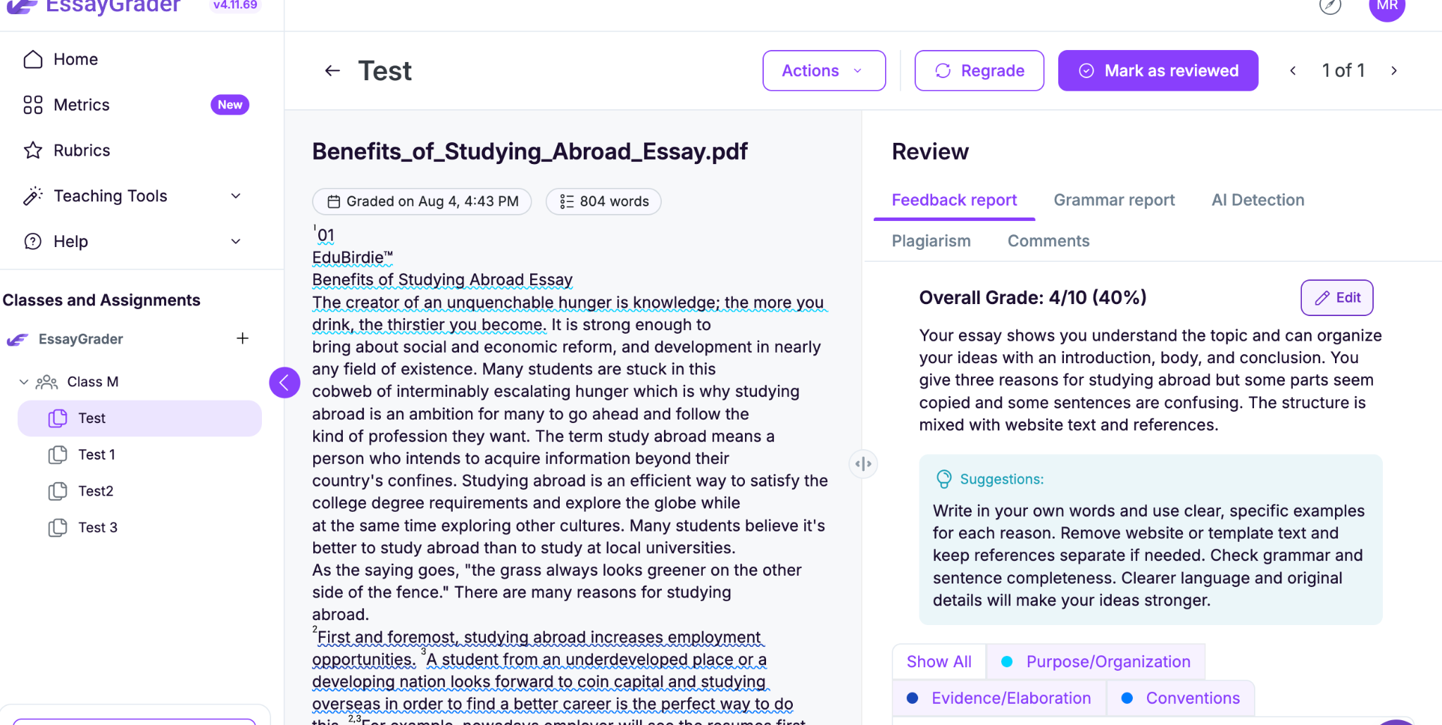 Feedback provided by EssayGrader AI on a student's essay.