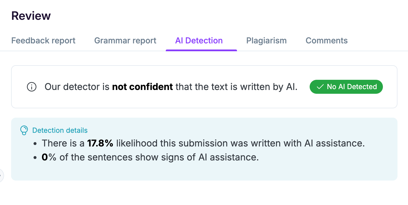 AI detection and plagiarism scans in EssayGrader AI.