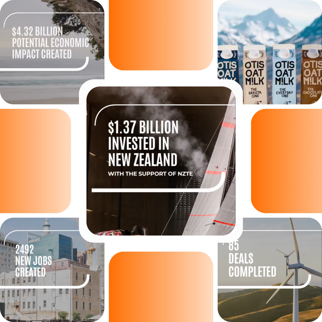 Instagram assets developed for New Zealand Trade and Enterprise 
