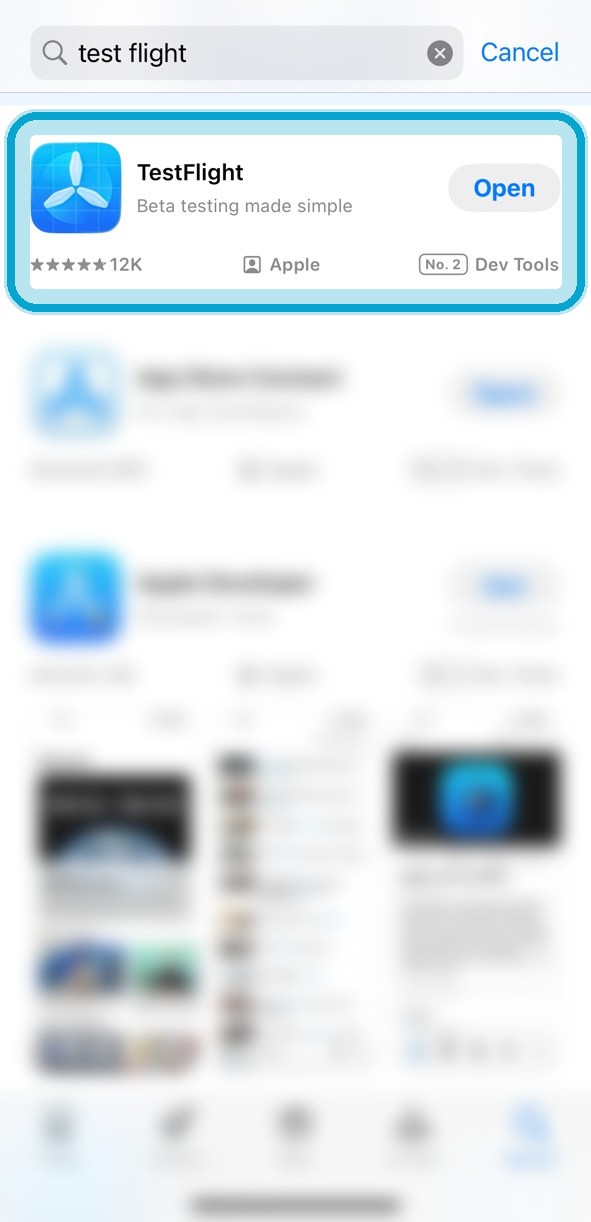 Searching for TestFlight in the App Store