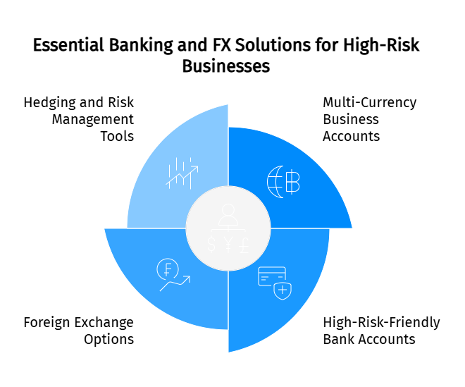 Essential Banking and FX Solutions for High-Risk Businesses
