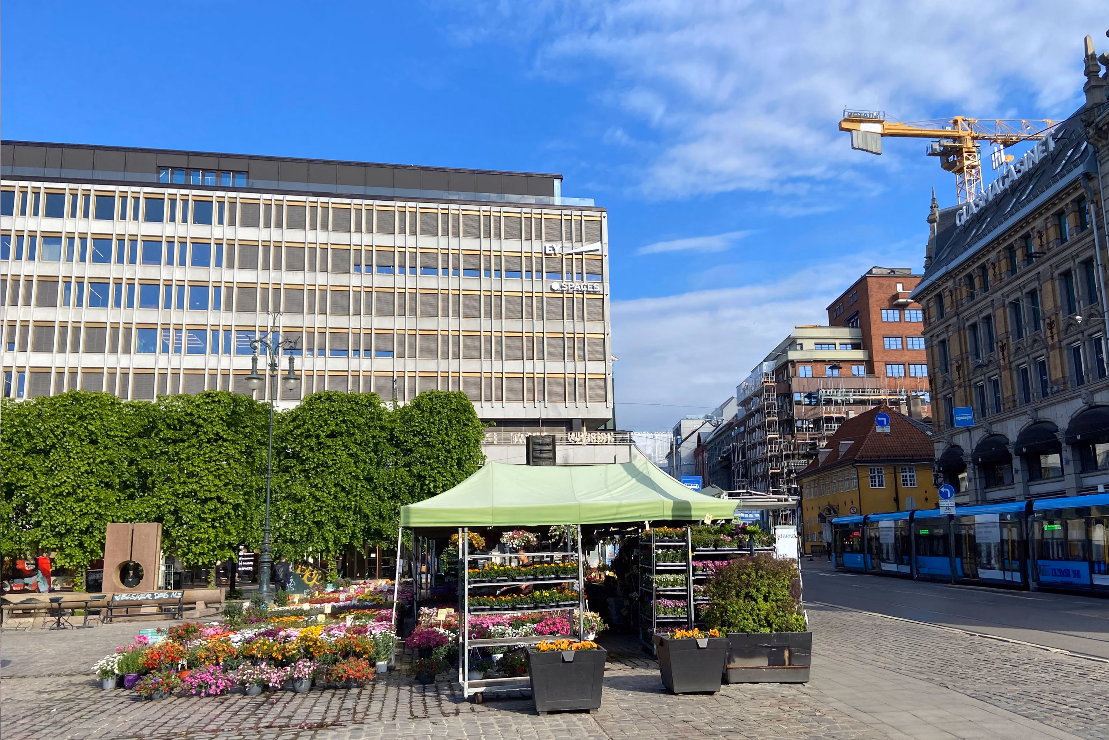bygget stortorvet 7 med blomsterstand i forgunnen og trikken som kjører forbi til høyre