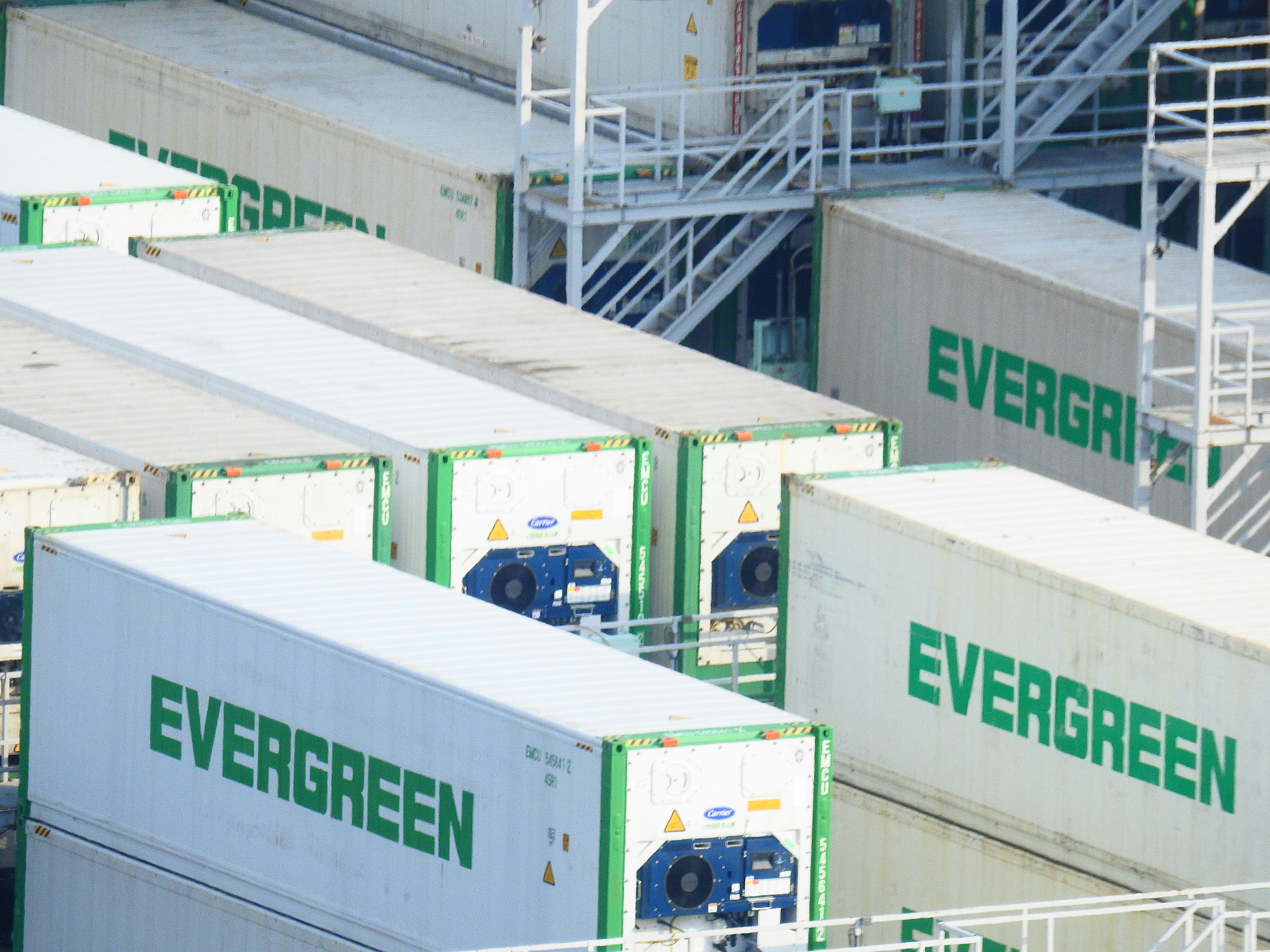 Reefer trucks for cold chain logistics | Slotted