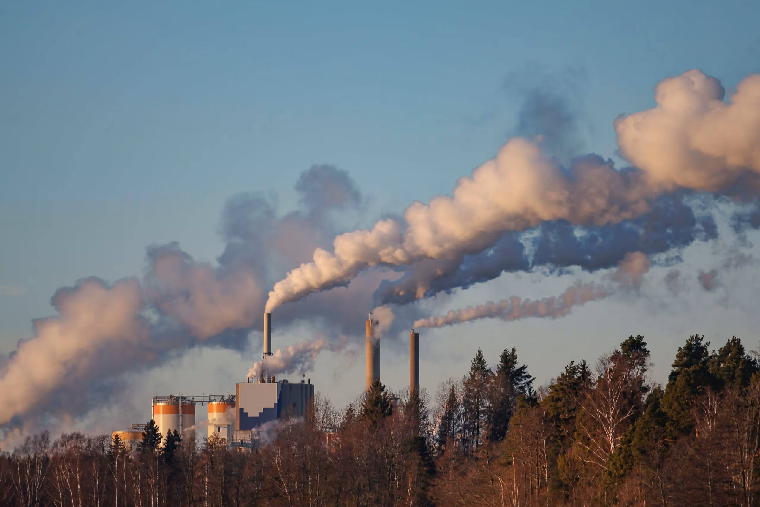 impact graphisme environnement