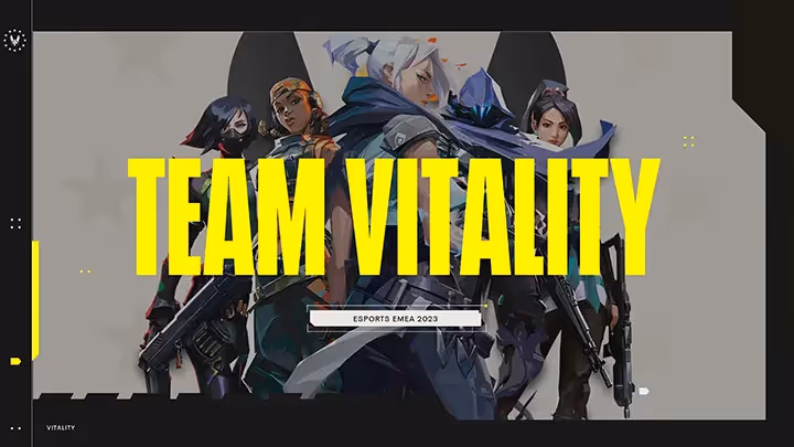 Team Vitality