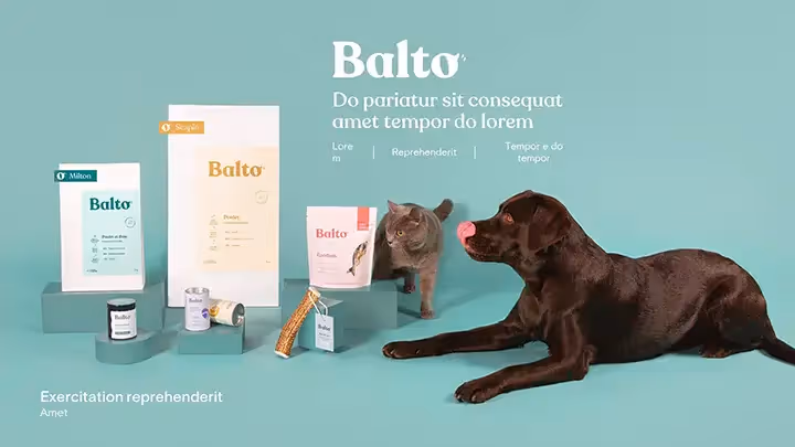 Balto