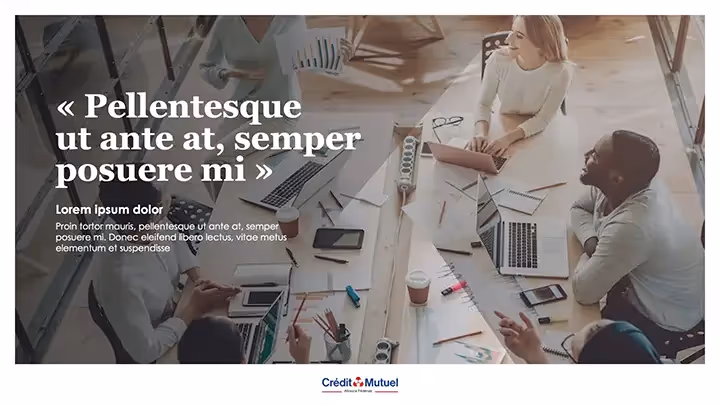 Crédit Mutuel - Alliance Fédérale