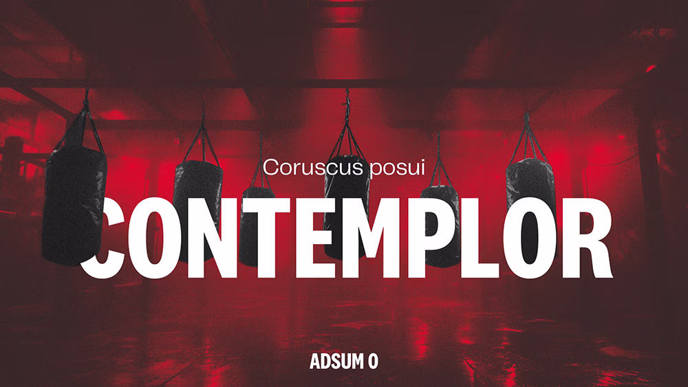 Agence PowerPoint Paris mprez slide puig