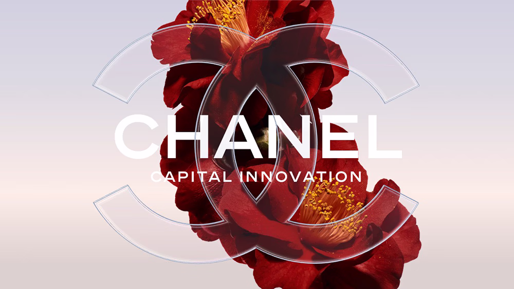 Agence PowerPoint Paris mprez slide puig