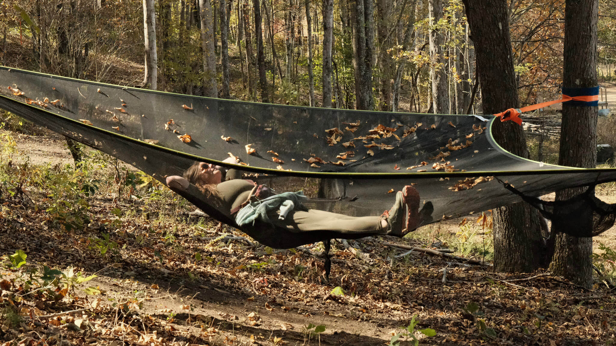 Lounging in the Treenets 