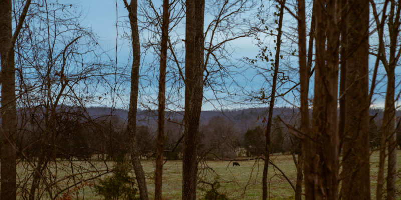 Three Ways Bask Is Cultivating a More Sustainable Landscape