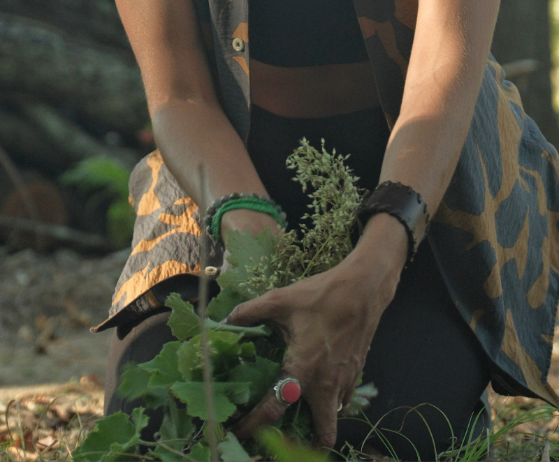 Environmentally Friendly Living: Conscious Practices You Can Start Today