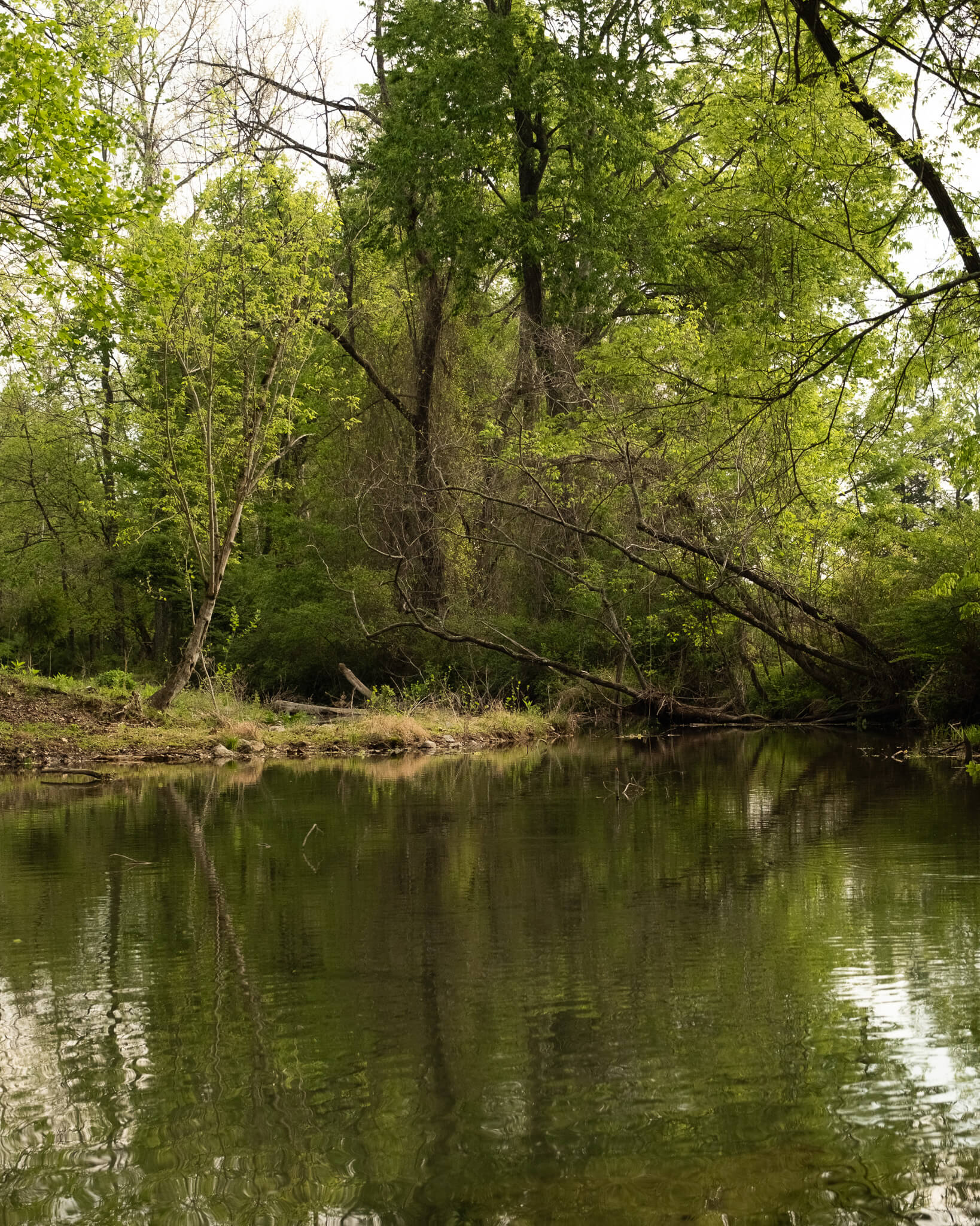 Bask Creek