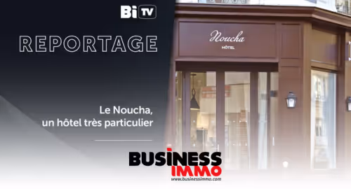 Noucha report in Business Immo