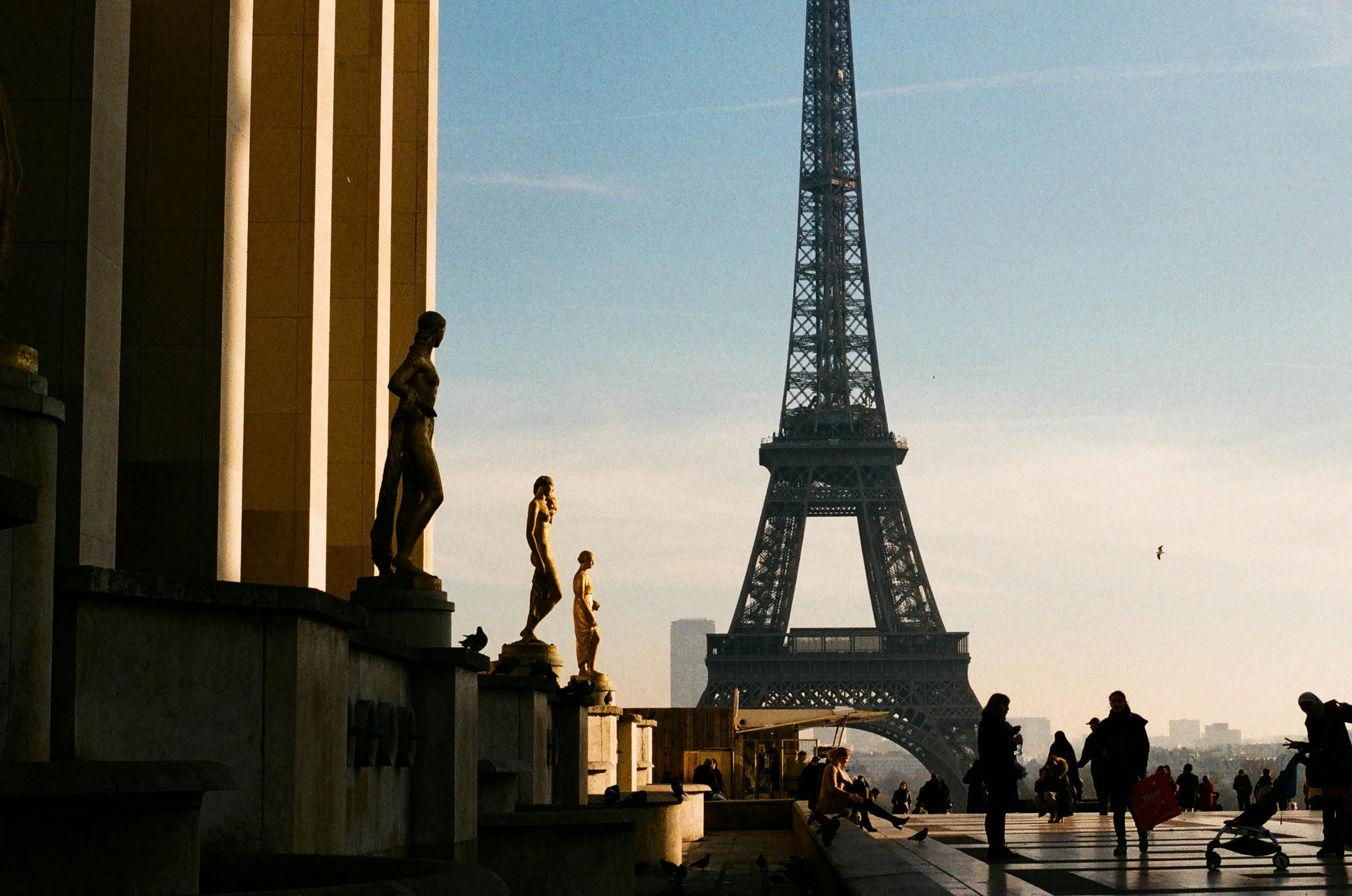 View of the Eiffel Tower from the Trocadero