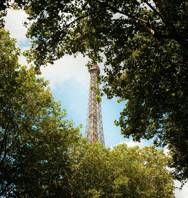 The Eiffel Tower seen through foliage 