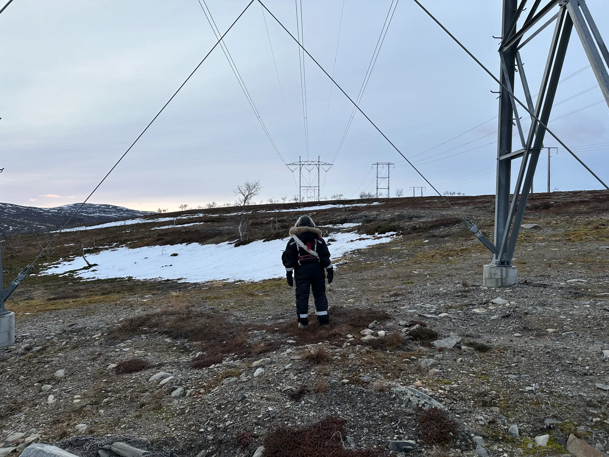strømlinjer i natur