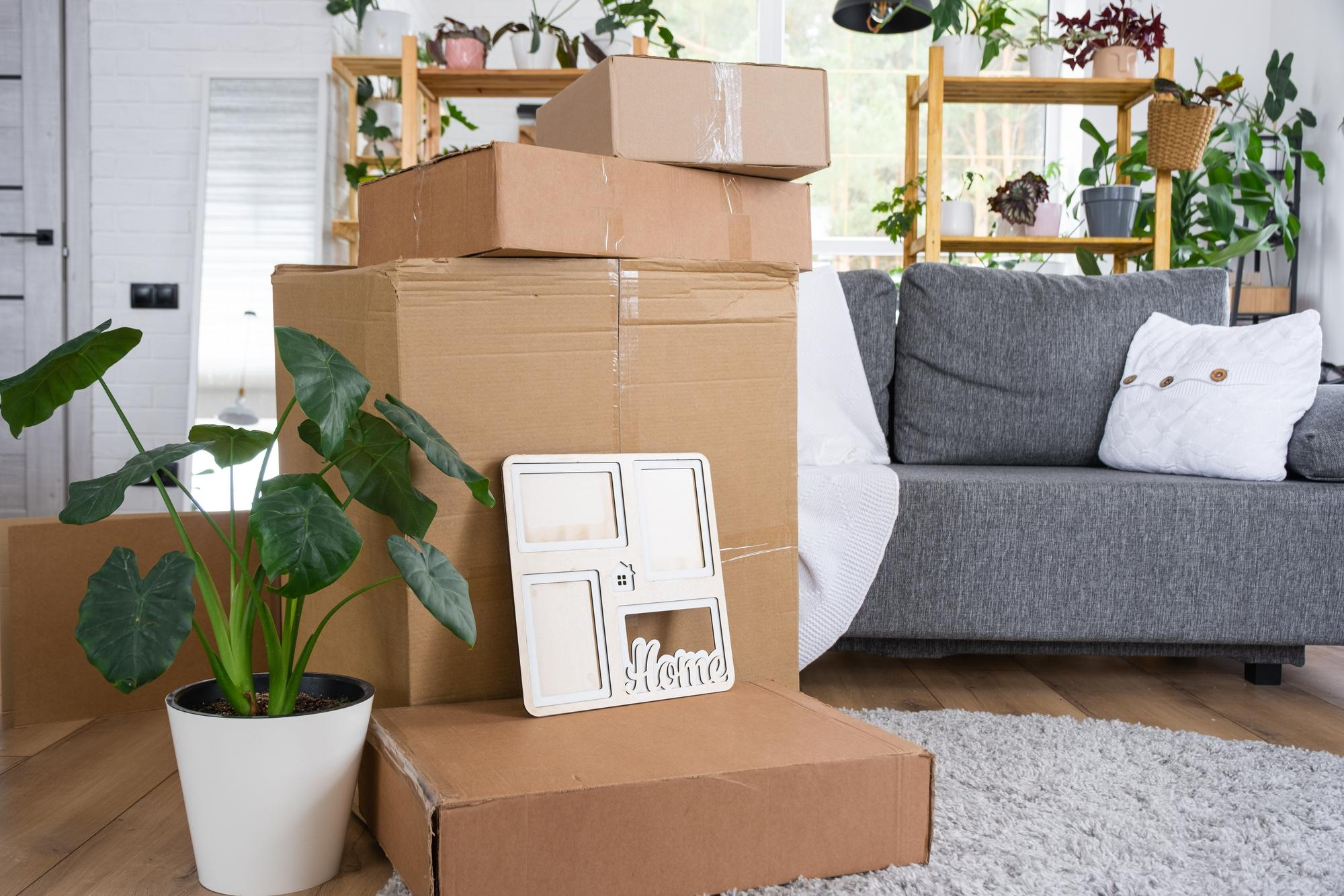 Boîtes de déménagement empilées dans un salon à côté d'un sofa et de plantes.