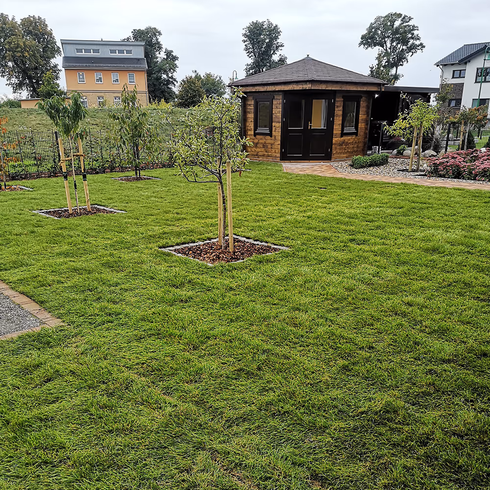 Rasenfläche mit eingepflanzten Bäumen und Gartenhaus im Hintergrund