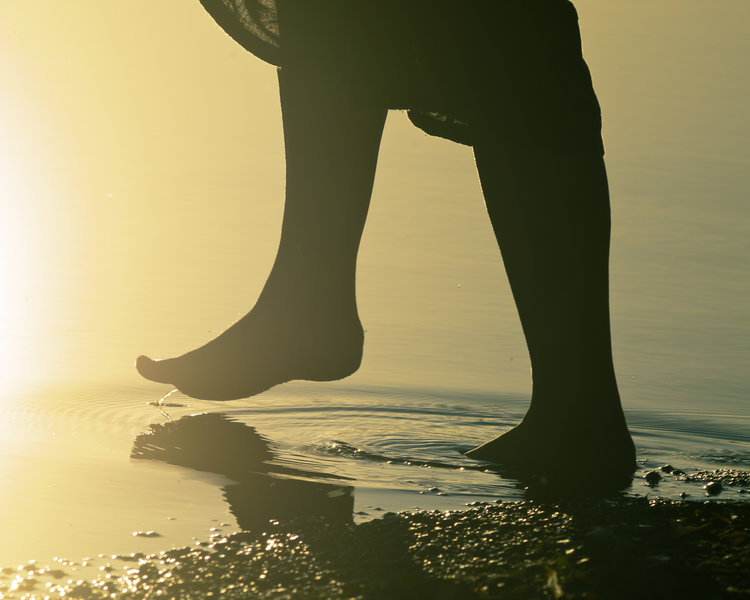 The End of Summer Balance