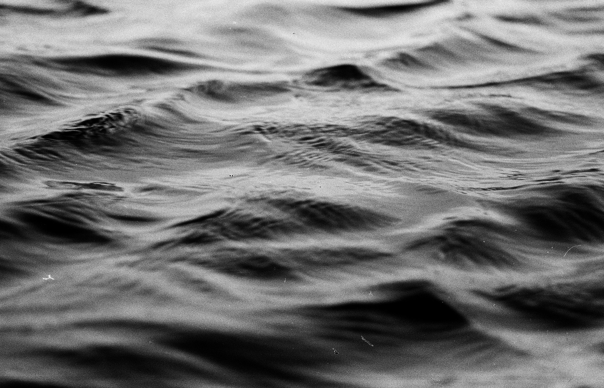 Anxiety therapy service at The Family Therapy Place Grand Rapids MI