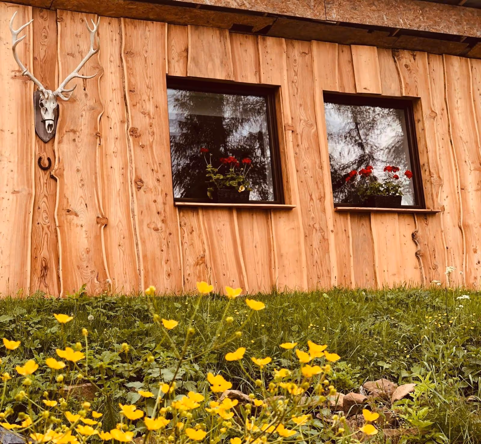 Larix house from outside