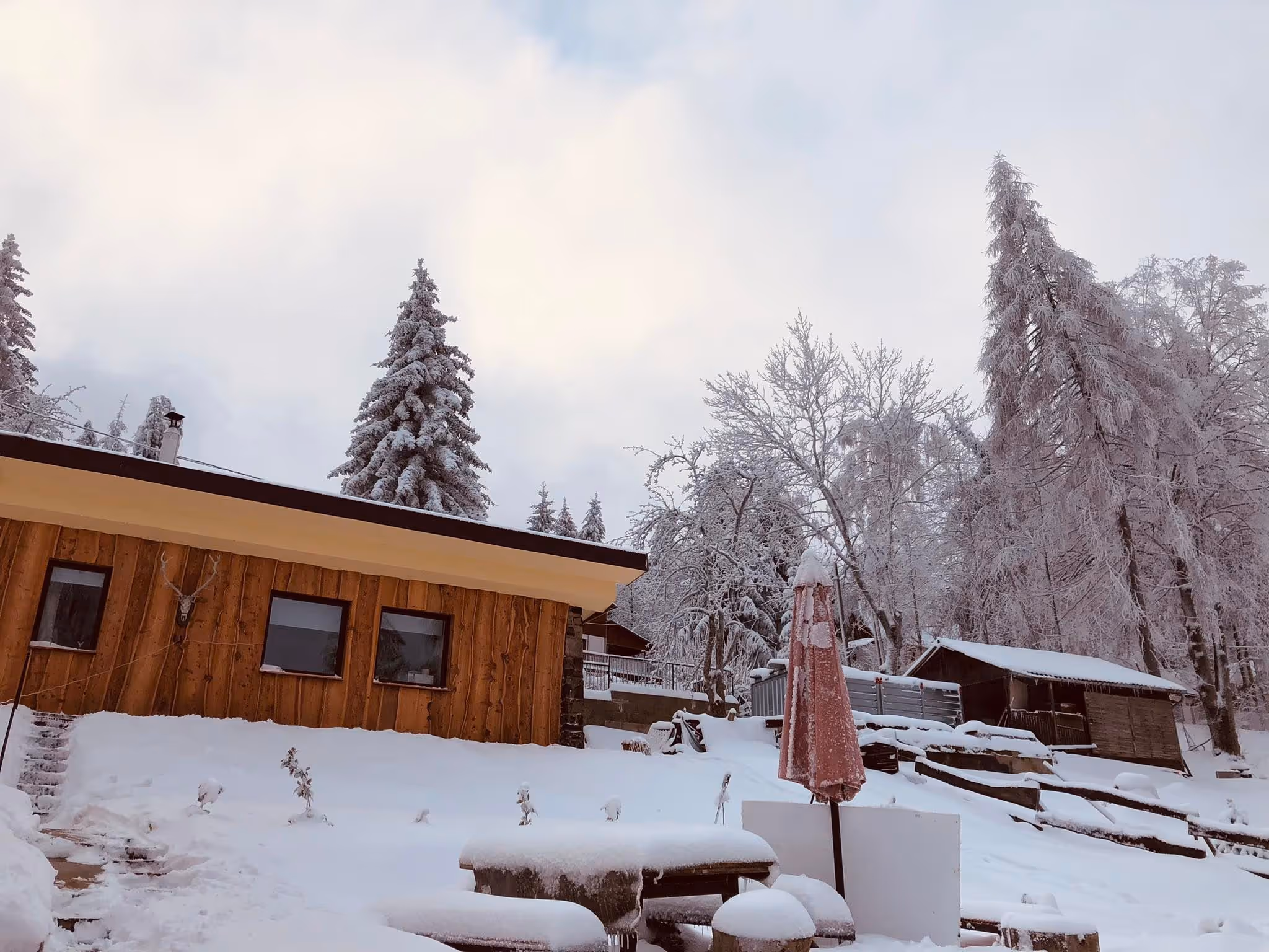 Larix house from outside