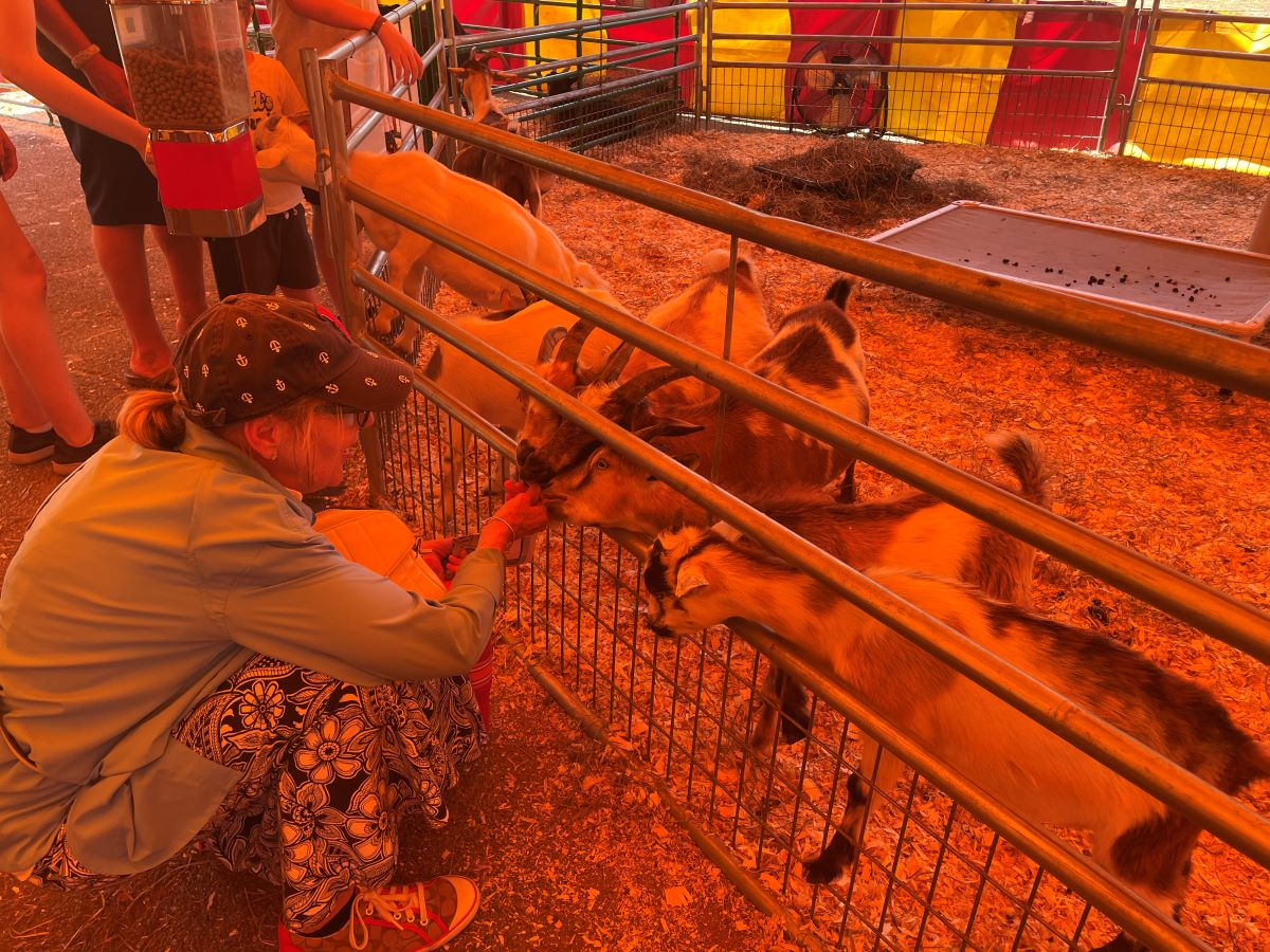 Barnstable County Fair 25
