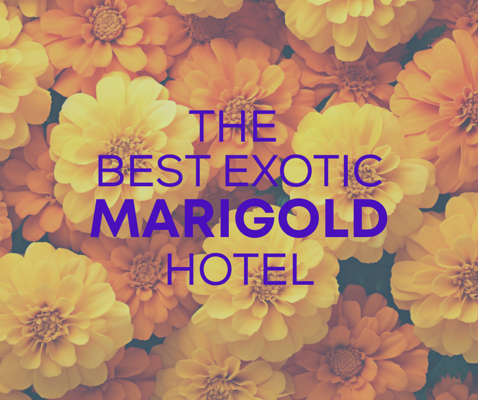 Movie Matinee: The Best Exotic Marigold Hotel