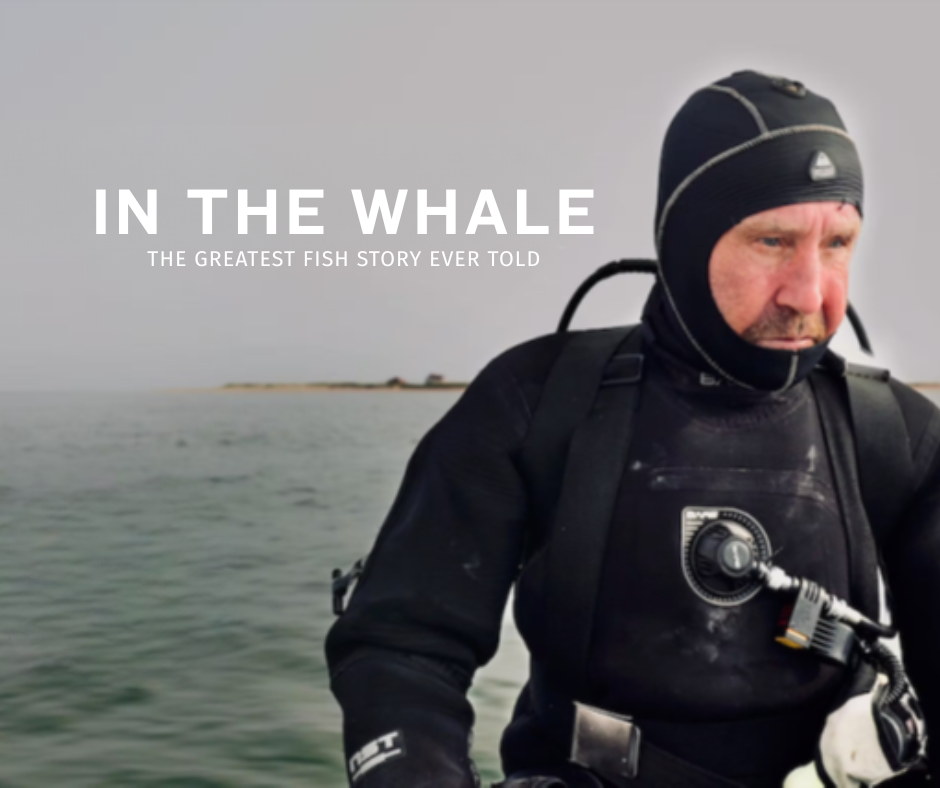 Film Screening: In The Whale