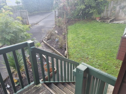Stairs, green railing, potted plant, grassy area.
