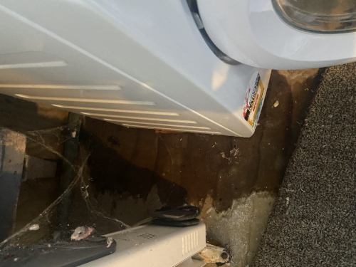 Washing machine, floor with spilled liquid, spider web.