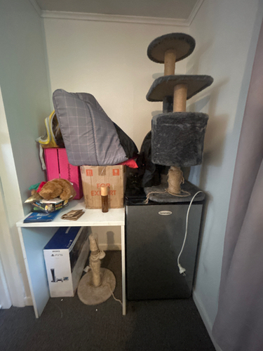Cat tree, cardboard box, small table, plush toy, mini fridge.