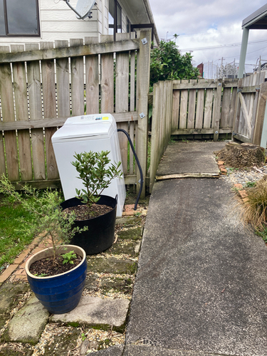 White washing machine, black pot with plant, blue pot with plant, concrete pathway, wooden fence.
