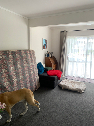 Dog, floral mattress, blue cushion, red blanket, couch, wooden cabinet, dog bed.