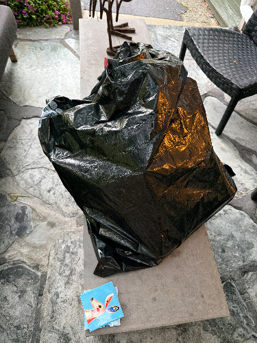 Black trash bag and a colorful flyer with a cartoon character.