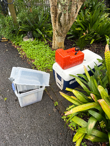 Cooler, red fuel can, clear plastic storage container.