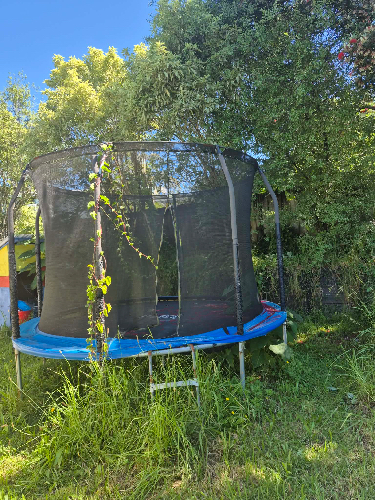 Trampoline with a black safety net, surrounded by tall grass.
