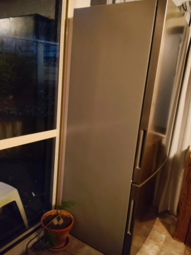 Stainless steel refrigerator and a potted plant.