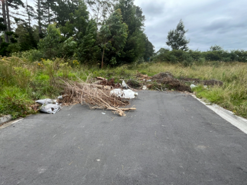 Pile of branches, debris, and plastic bags on a roadway.