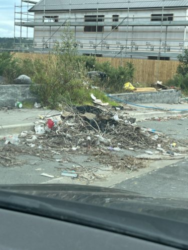 Pile of trash including plastic bottles, debris, and vegetation.
