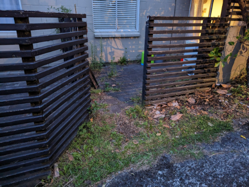 Two wooden slatted fences with a small pathway and overgrown grass.