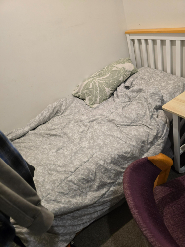 Bed with grey patterned bedding and green decorative pillow, purple chair, and white bed frame.