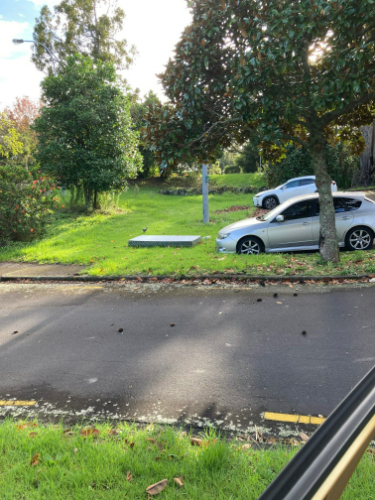 Silver car parked next to a white mattress on grass.