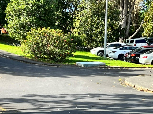 Green shrubbery, white and silver cars, blue metal utility cover.