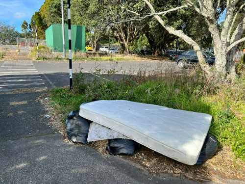 Mattress, garbage bags.