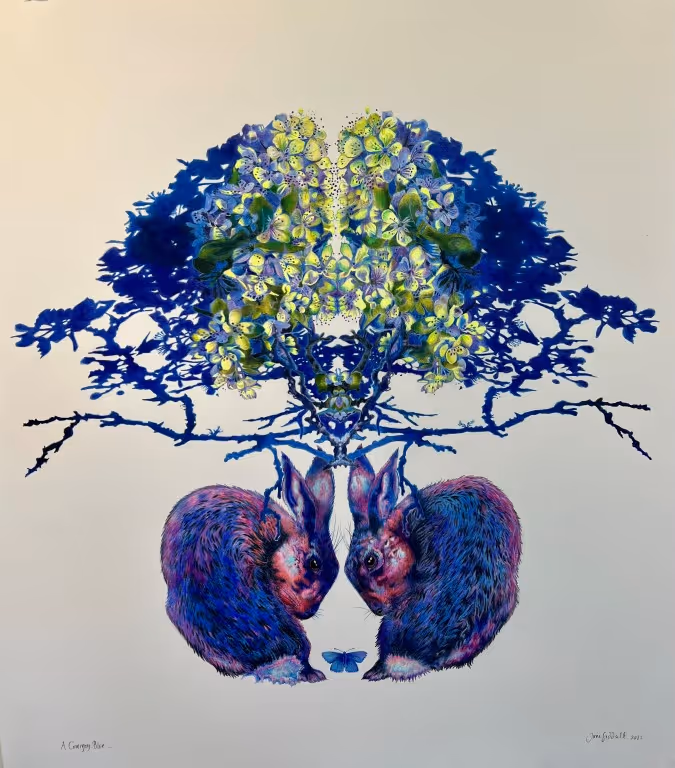  'A Common Blue' coloured pencils on fine art paper (600 x 680mm uf)